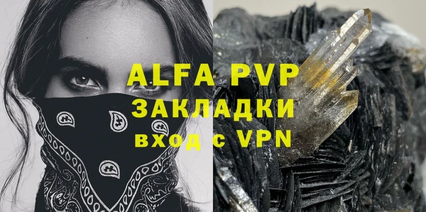 хмурый Абаза
