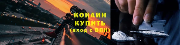 прущий лед Алзамай