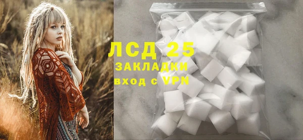 прущий лед Алзамай