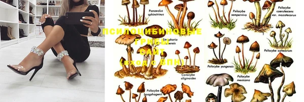 индика Алексеевка