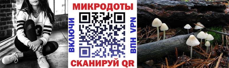 Псилоцибиновые грибы Cubensis  Советская Гавань 